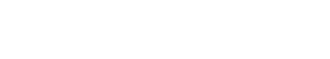 New Horizon
